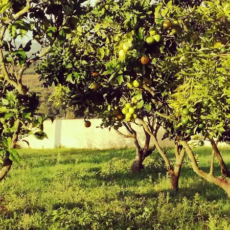 Casa Do Pinheiro Near Obidos With Garden Feriehus *