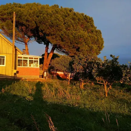 Feriehus Casa Do Pinheiro Near Obidos With Garden