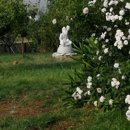 Casa Do Pinheiro Near Obidos With Garden Holiday home