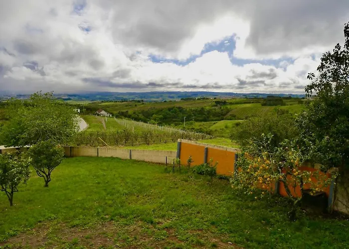 Hébergement de vacances Casa Do Pinheiro Near Obidos With Garden *