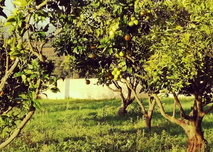 Casa Do Pinheiro Near Obidos With Garden Hébergement de vacances *