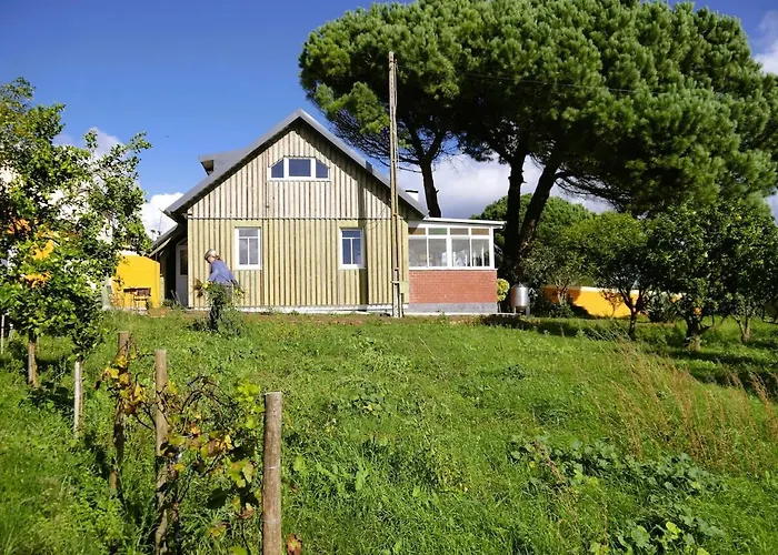 Hébergement de vacances Casa Do Pinheiro Near Obidos With Garden